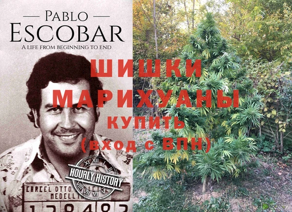 тгк Волосово