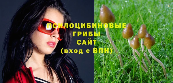 твердый Верхнеуральск
